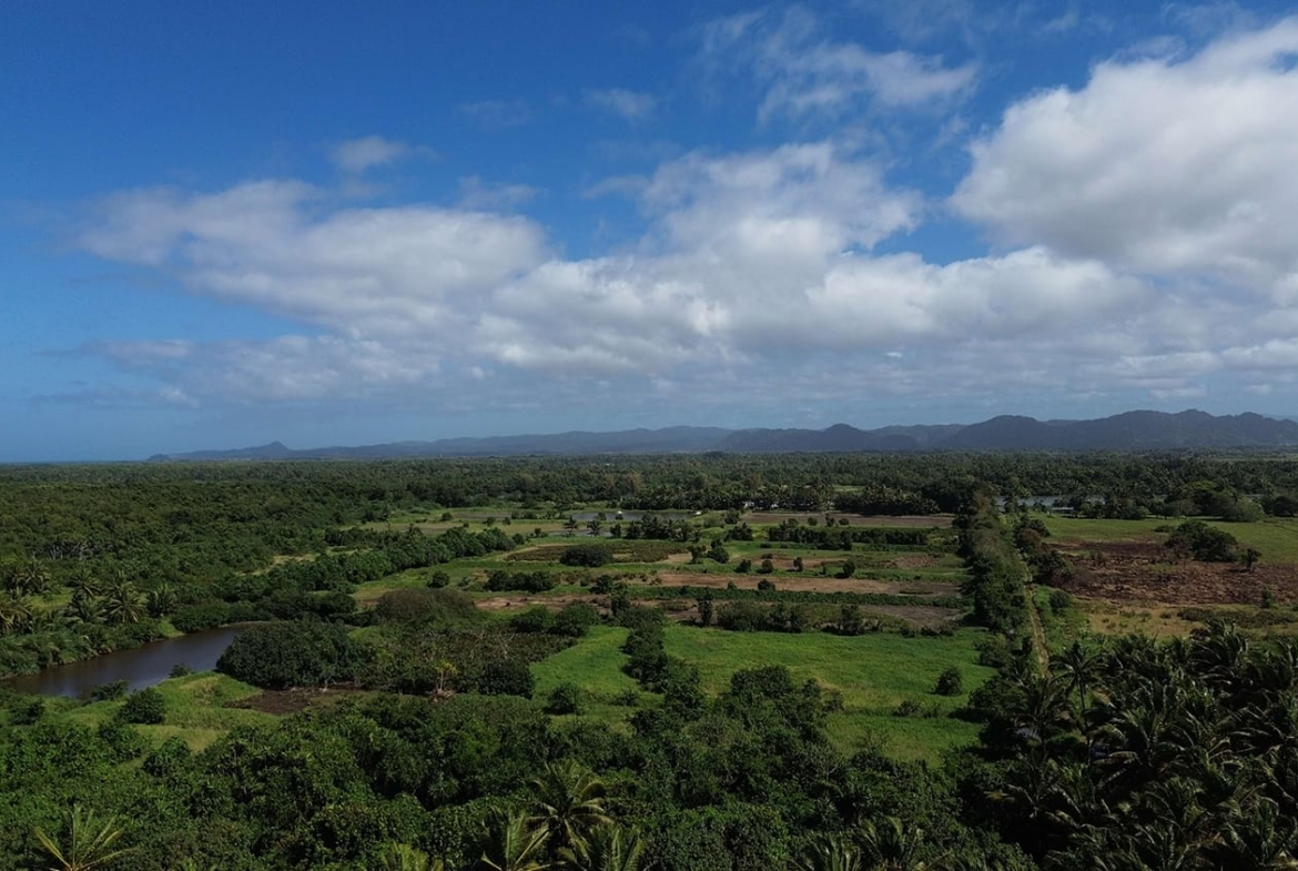 Ocean & River Sanctuary, Navua