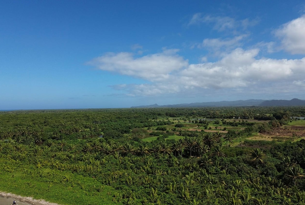 Ocean & River Sanctuary, Navua