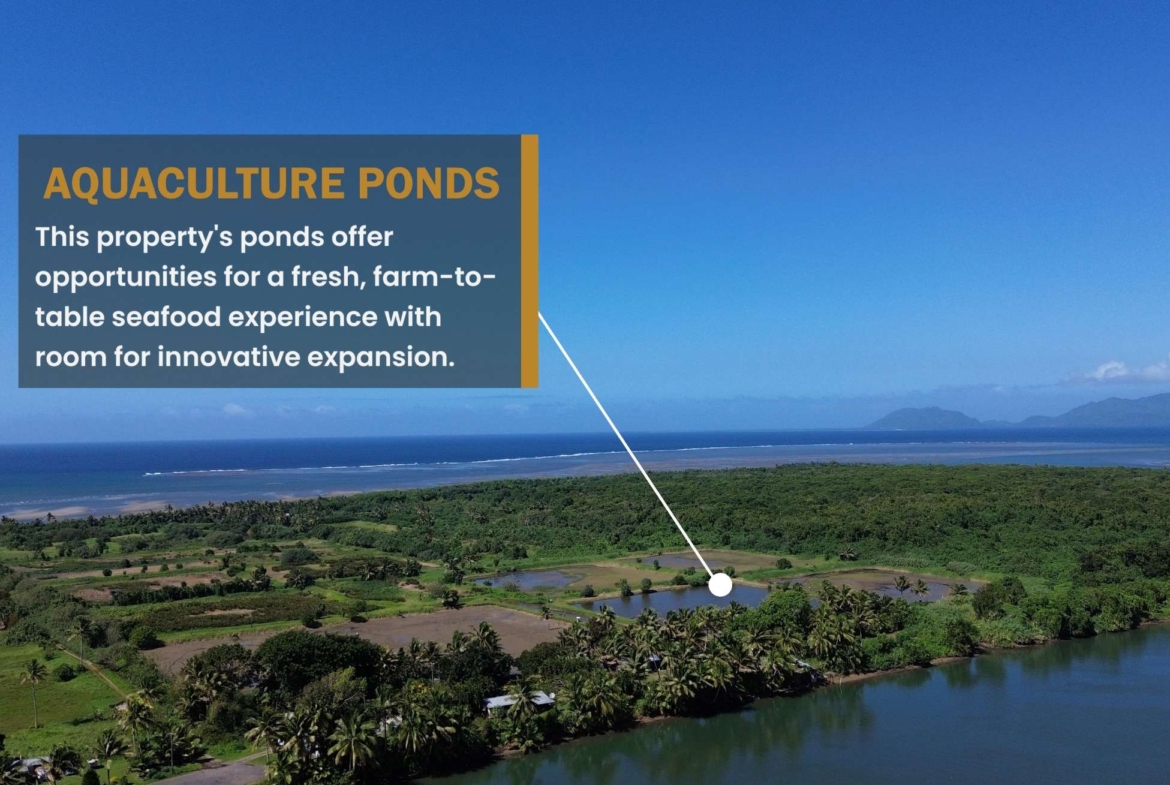 Ocean & River Sanctuary, Navua