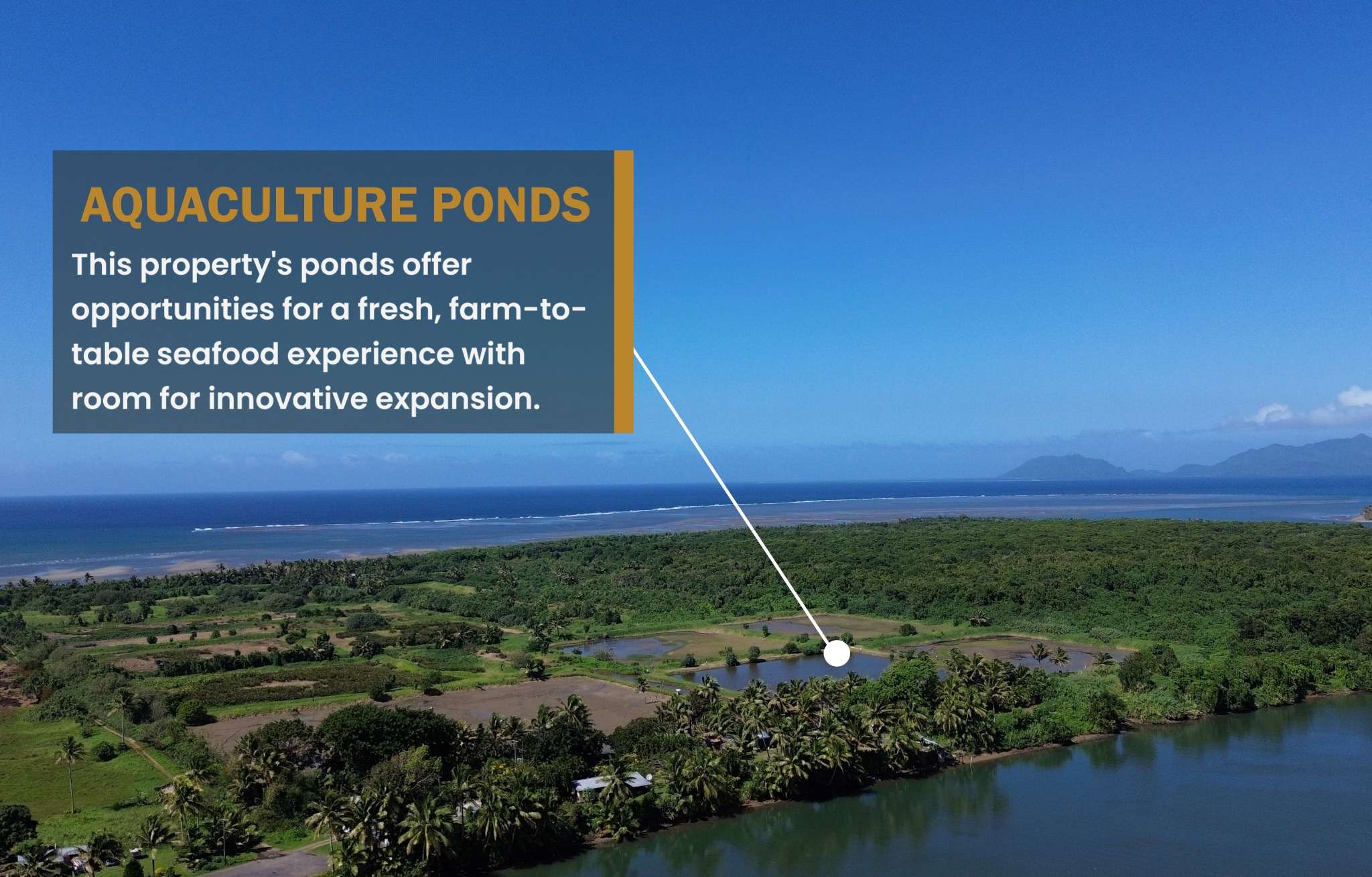 Ocean & River Sanctuary, Navua
