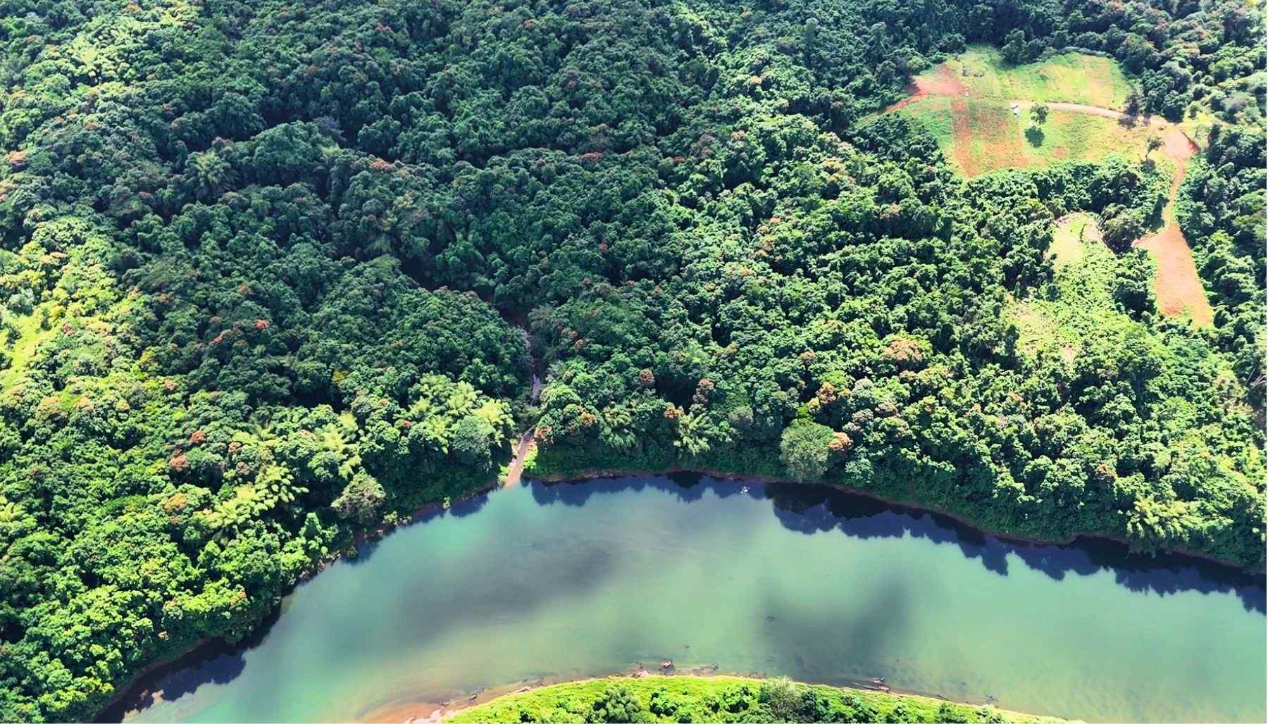 Tailevu