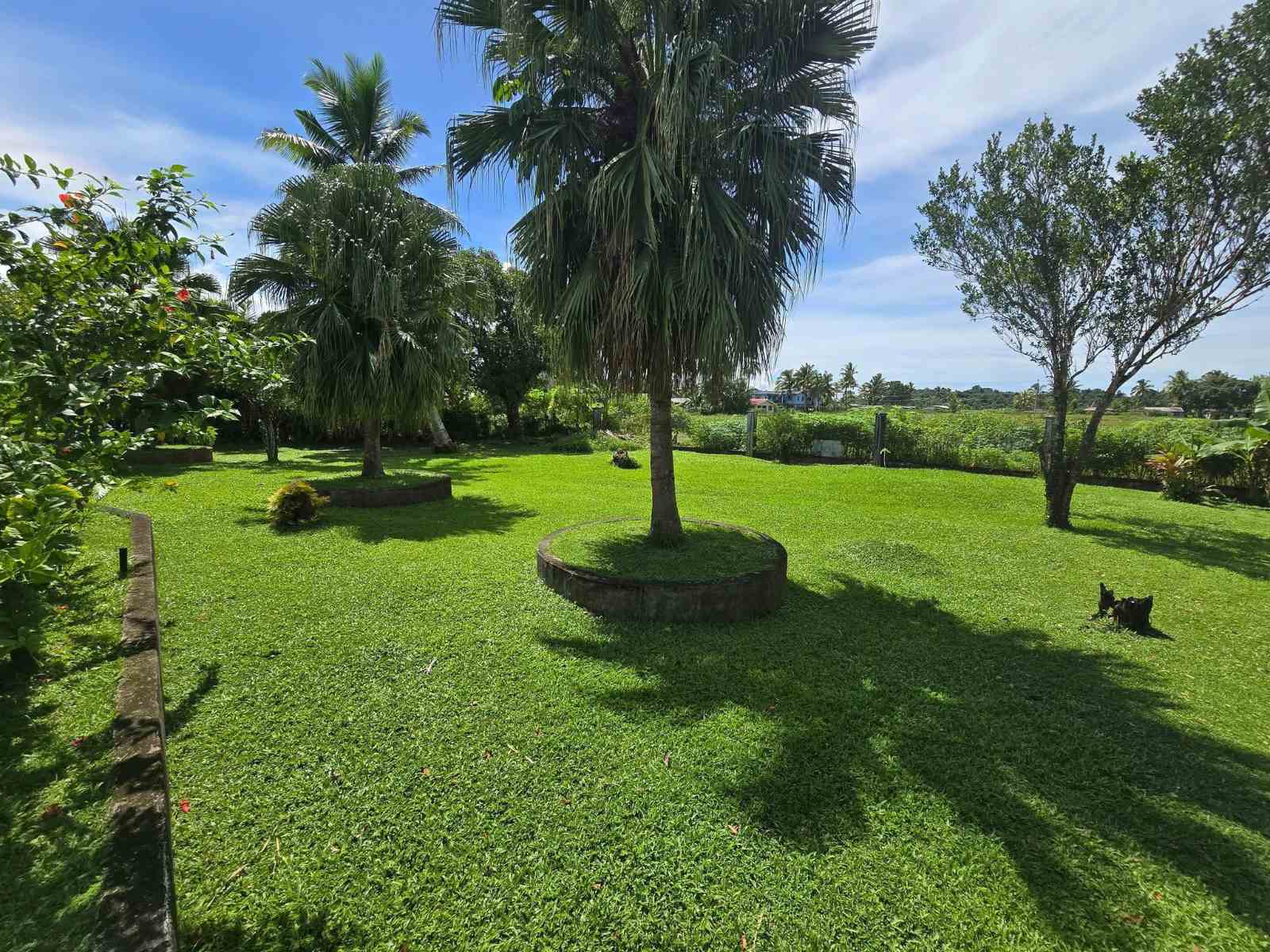 viber_image_2025-07-25_12-32-03-324 Bunako Circle, Pacific Harbour